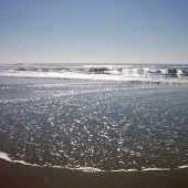South Carlsbad State Beach