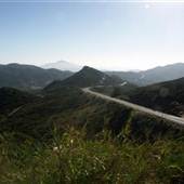 Jamul