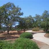 Bird Park
