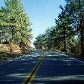 Sunrise Highway at Mt. Laguna