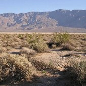 Clark Dry Lake