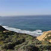 Torrey Pines Gliderport Parking Lot Trails