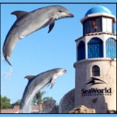 Sea World
