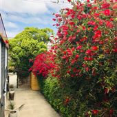 Private Home - 1125 W Olive St