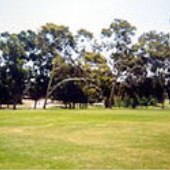 Morley Field