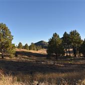 Cuyamaca Rancho State Park