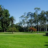 Balboa Park - West Lawns along 6th Ave