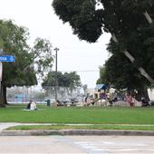 Ocean Beach Community Park