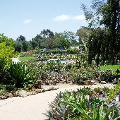 Balboa Park - Desert Garden