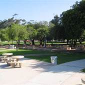 Balboa Park - Pepper Grove