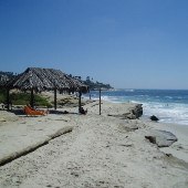 Windansea Beach