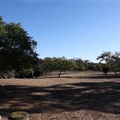 Nate’s Point Dog Park