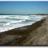 Cardiff State Beach