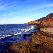 Pt. Loma Tidepools