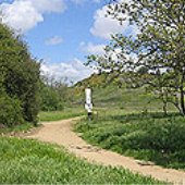 Marian Bear Memorial Park