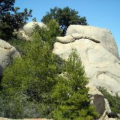 Mt. Woodson