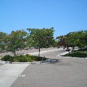 Montclair Park