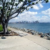 Harbor Island