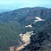 Palomar Mountain State Park