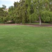 Balboa Park - President's Way Lawn