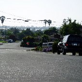 Bay Park Neighborhood