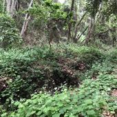 Santa Margarita County Preserve